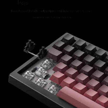 PBT Gradient Tri-Mode Mechanical Keyboard