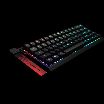 RGB Low Angle Macro