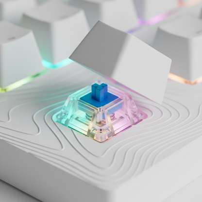 White Blue Switch