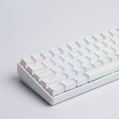 White RGB - Macro Close-up